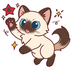 Playful Ragdoll Cat Jumping with Christmas Star