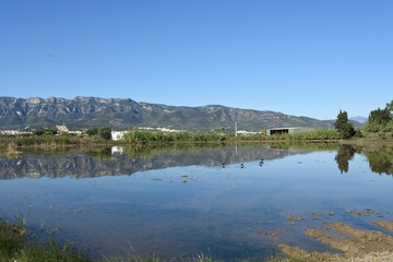 landscapes with birds the Ebro River Delta Natural Park,Tarragona province, Catalonia, Spain (Landscape near Poblenou del Delta)