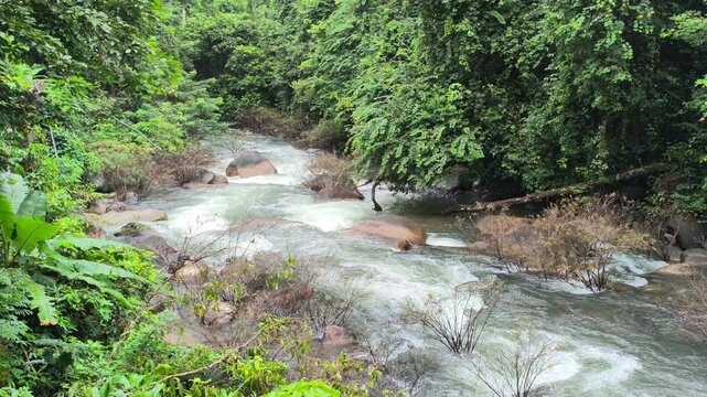 flowing water stream creek river in tropical forest. Tranquil calm nature view
