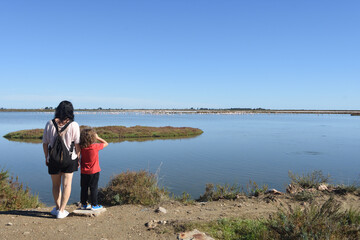 People watching flamingos in the La Tancada lagoon in the Ebro River Delta Natural Park,Tarragona...