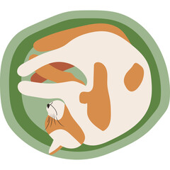 Whimsical illustration of a relaxed orange and white cat curled up on a green circular mat with a transparent background showcasing a peaceful nap.