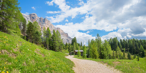 idyllic walkway towards Heiligkreuzkofel mountain, green larch trees. landscape dolomites alps