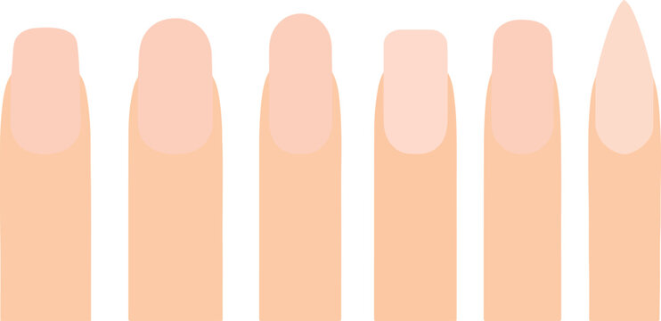 Popular Manicure Nail Shapes Set &mdash; Natural, Squoval, Oval, Square, Almond, Stiletto Flat Vector Illustration Isolated on White Background.