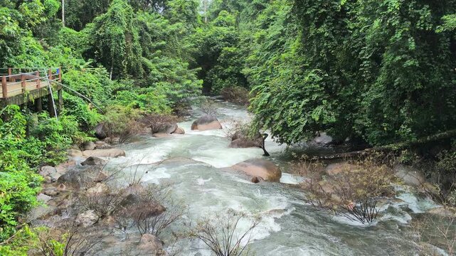 flowing water stream creek river in tropical forest. Tranquil calm nature view