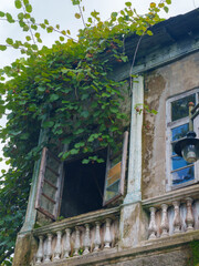 Decay and Nature: Vines Overtaking Old Architecture
