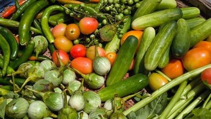 Fresh vegetables for cooking. Vegetables contain dietary fiber that helps cleanse the intestines.