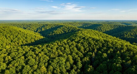 Panoramic View of Lush Green Forest and Rolling Hills under Blue Sky