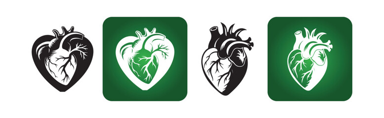 Detailed Heart Organ Symbol in Line and Solid Styles. Healthcare Design Concept