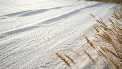 Windblown snow texture field winter frost pattern white surface detail soft grain effect dried grass foreground natural abstract landscape cold season scene minimal nature design