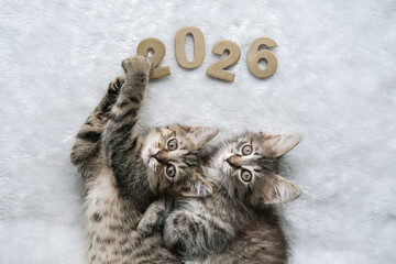 Two adorable tabby kittens lie on white fluffy blanket, one holding up golden wooden numbers 2026. Cute New Year's or calendar concept © Elen Nika