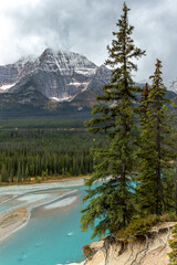 Braided turquoise river in Jasper National Park, Canadian Rockies
