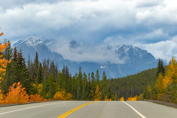 Winding mountain road through autumn forest in Jasper National Park