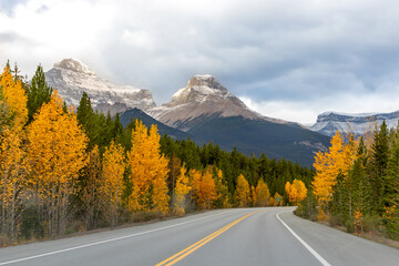 Scenic road toward snowy peaks on Icefields Parkway in Alberta