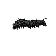 Isolated Black Silhouette of a Spiked Caterpillar
