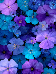 Vibrant Close-Up of Blooming Flowers in Shades of Teal, Blue, and Purple