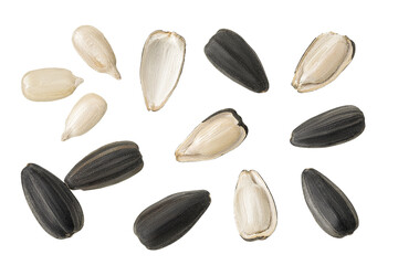 Obraz premium Sunflower seeds isolated on white background. Top view. Flat lay
