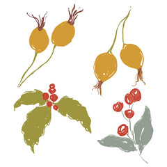 Whimsical Christmas floral set of berries, dog-rose and holly. Hand-drawn vintage collection isolated on white background. Illustration for design, print, fabric or background.