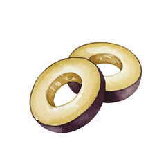 Watercolor-style olive illustration