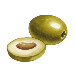 Watercolor-style olive illustration