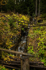 Steep Waterfall Drops Down Hill With Changing Color Leaves
