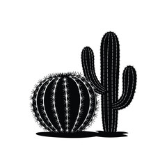 Cactus desert plants silhouette illustration set on white background