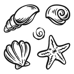 seashell and starfish illustrations silhouette hand drawn