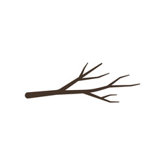 Fototapeta premium Brown branch with multiple twigs on white background 