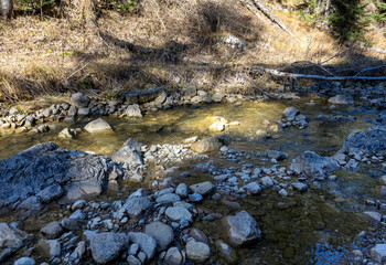 Autumn walks along the banks of a mountain river with clear, cool water in the morning hours with the rising sun