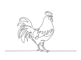 Rooster outline draw illustration. Continuous line art drawing of Chicken Rooster. Editable stroke.