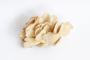 Oyster mushrooms on the white background. Food