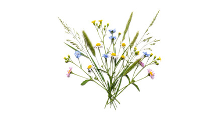 A bouquet of wildflowers featuring daisies blue flowers and various types of grass on black background
