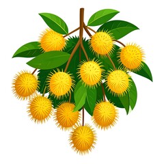 Bunch of spiky yellow fruit with green leaves on white background