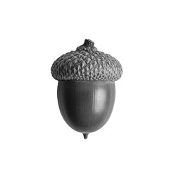 An oversized, photorealistic acorn with gnarled textured cap and smooth body, isolated on transparent studio background with soft shadow, top-down macro grayscale, minimalist nature study concept