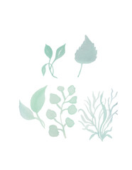 Watercolor floral set of green leaves, greenery, branches, twigs etc. Cut out hand drawn PNG illustration on transparent background. Watercolour clipart drawing.