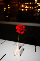 Decorating the atmospheric holidays with fresh flowers