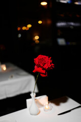 Decorating the atmospheric holidays with fresh flowers