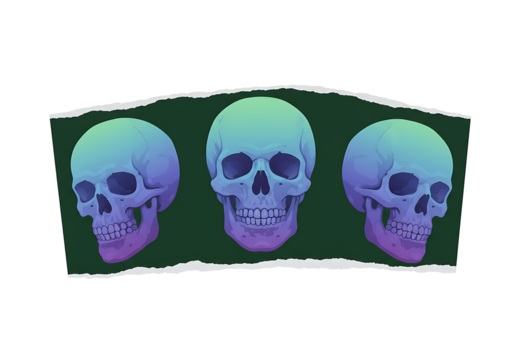 Eerie trio of gradient skulls emerging from a torn backdrop on transparant canvas