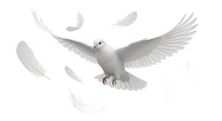 A majestic white dove in flight with its wings spread wide surrounded by falling feathers isolated on transparent background