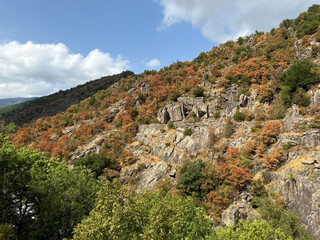 Drought affecting trees on mountainside in cevennes national park, occitanie, france