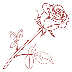 vector floral background