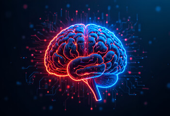 3d rendered illustration of human brain