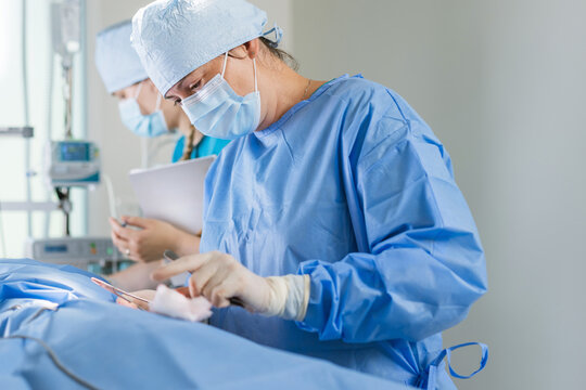 Medical professionals in blue scrubs are focused on a procedure while wearing masks in a bright hospital room. - Powered by Adobe