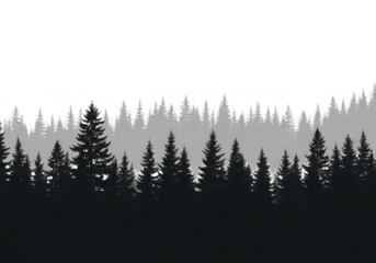 Silhouette of evergreen forest trees against a gradient sky isolated on transparent background