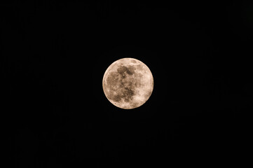 Fototapeta premium The November full moon, known as the Beaver Moon, is the largest and brightest supermoon of the year, seen rising through the clouds and tree branches of a forest in Tehatta, West Bengal, India