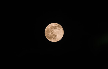 Obraz premium The November full moon, known as the Beaver Moon, is the largest and brightest supermoon of the year, seen rising through the clouds and tree branches of a forest in Tehatta, West Bengal, India