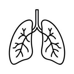 Simple line drawing of human lungs and bronchial tree