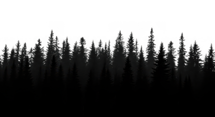 Silhouette of a dense evergreen forest isolated on transparent background