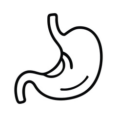 Simple line drawing of a human stomach organ