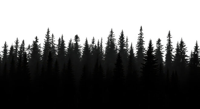 Silhouette of a dense evergreen forest isolated on transparent background