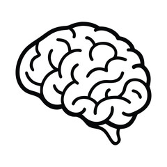 Simple outline drawing of a human brain
